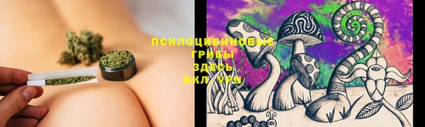 винт Алексин