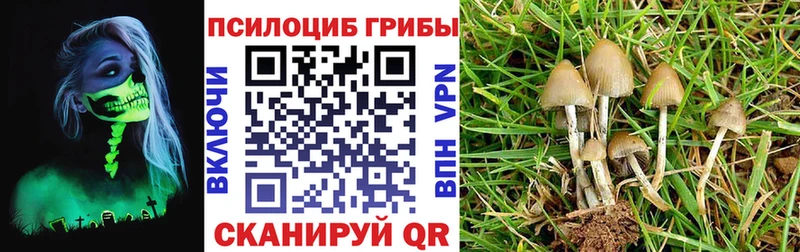 Галлюциногенные грибы Psilocybe дарнет шоп Пикалёво